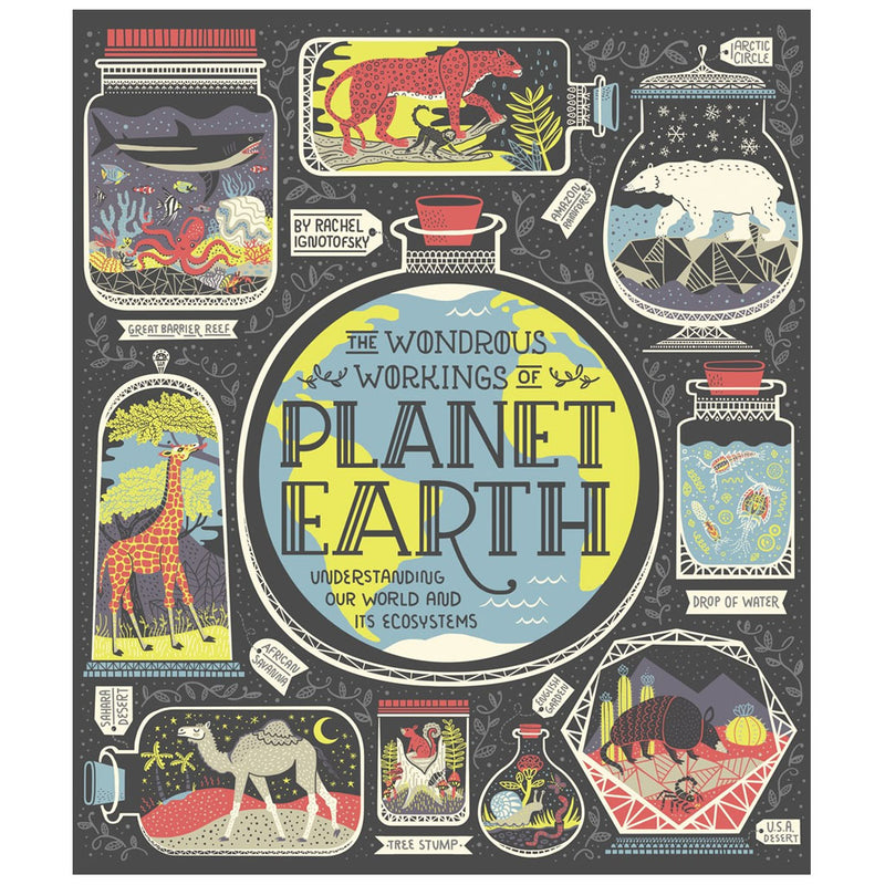 The Wonderous Workings of Planet Earth by Rachel Ignotofsky