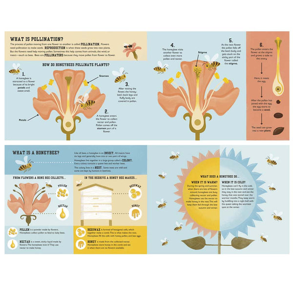 Educational illustrations and text about pollination and honeybees.