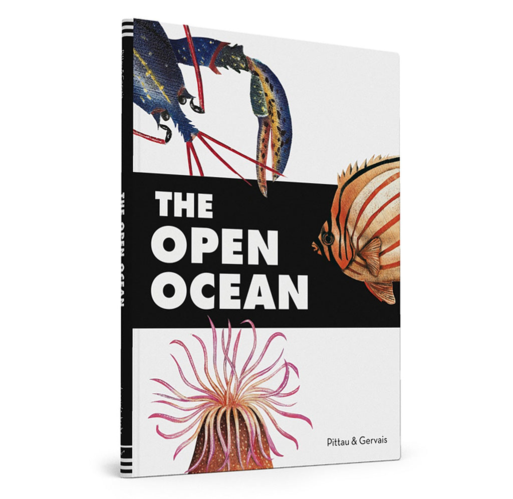 Front cover with illustrations of a lobster, fish, and anemone. 