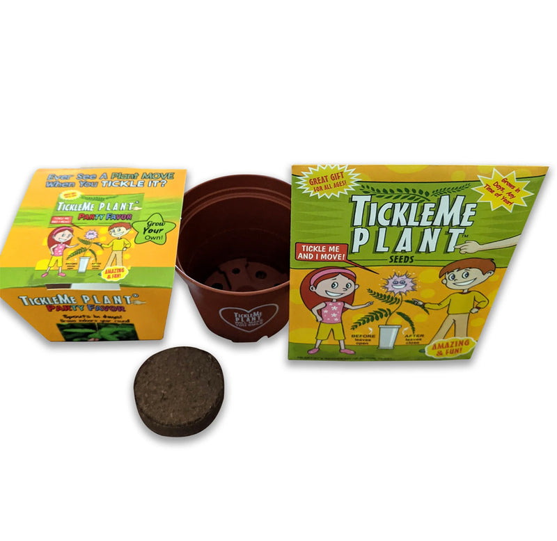 Tickle Me Plant Kit