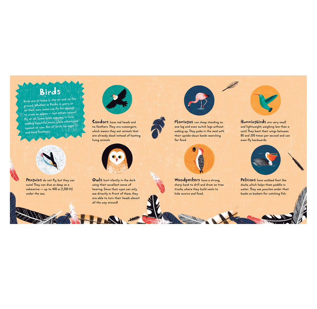 Bird index page from Tweet featuring a light peach background with colorful illustrations of different bird species, each accompanied by descriptive text. The design includes decorative feather borders and a teal 'Birds' title box in the upper left.