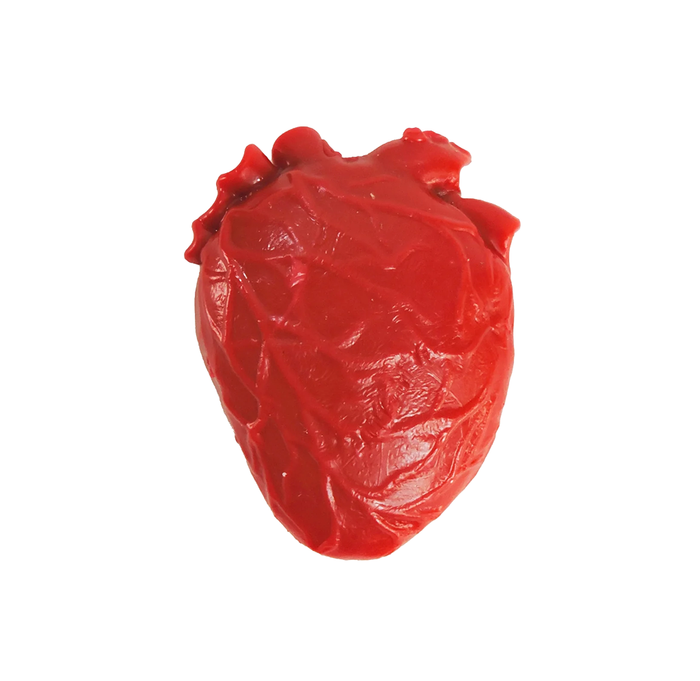 A pocket sized sensory squish toy in the shape of a red anatomical heart against a white background. 