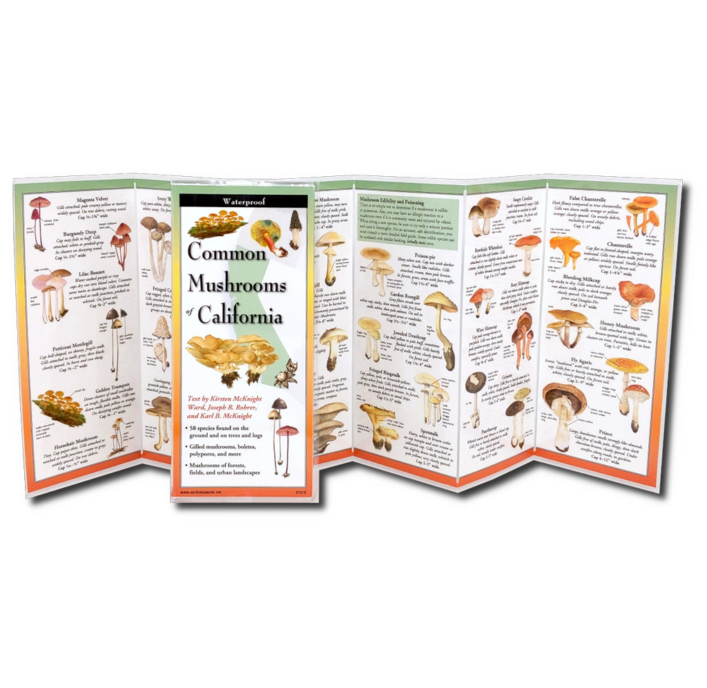 Fold out guide with illustrations and information of various mushrooms. Front cover depicts mushrooms and the outline of California. 