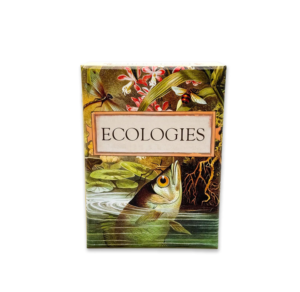 The card game has a victorian art image of a pond science; a fish is sticking out its head trying to grab a dragonfly.