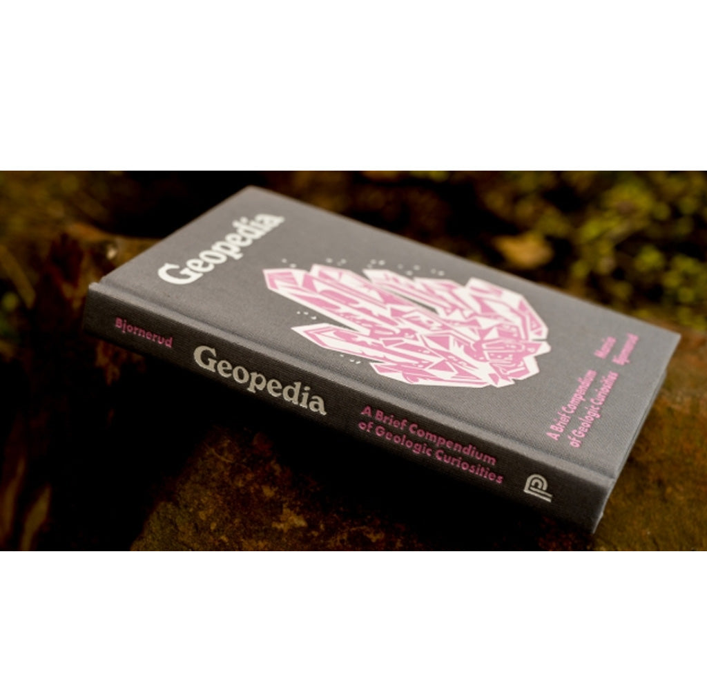 Book titled 'Geopedia' with a pink geometric design on a dark background sitting on a rock. 