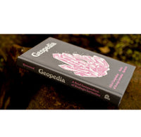 Book titled 'Geopedia' with a pink geometric design on a dark background sitting on a rock. 