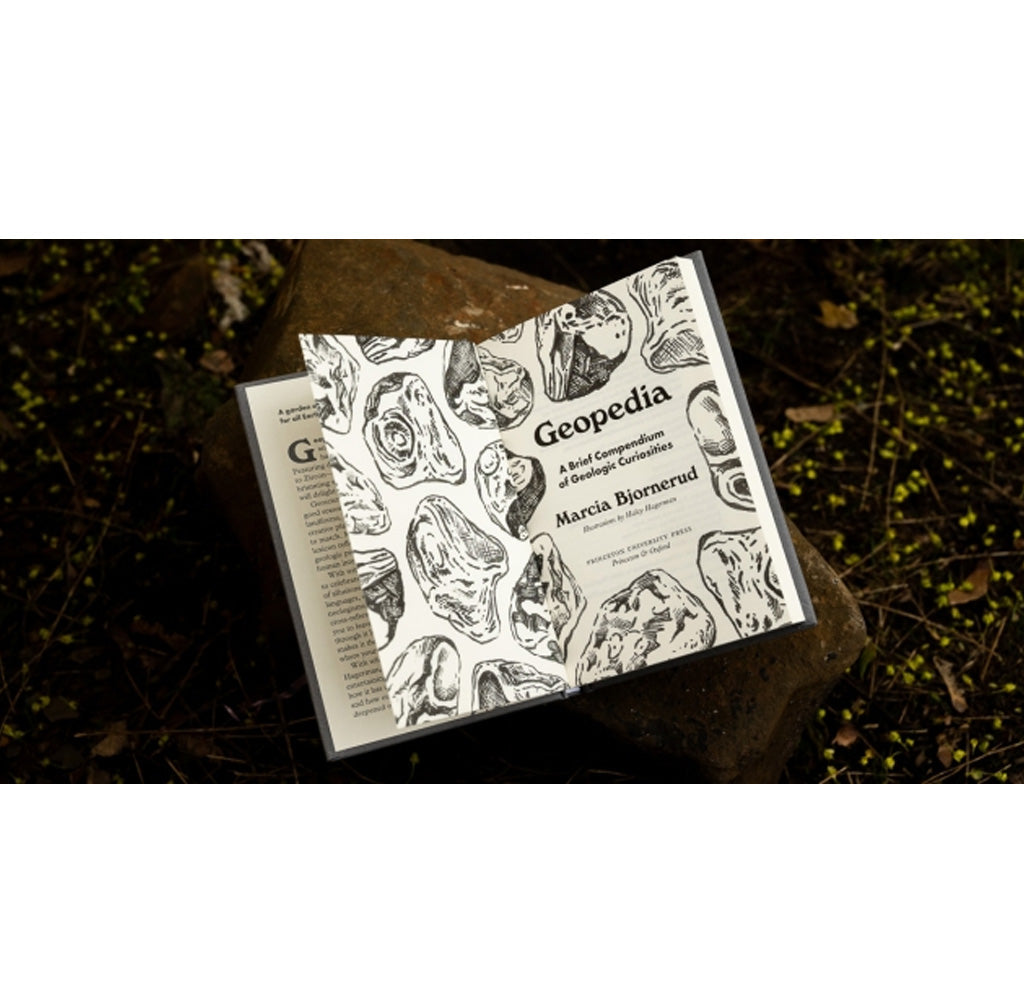 Open book with illustrations of rocks open on a natural background. 