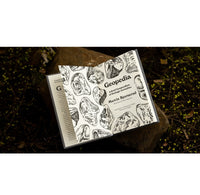 Open book with illustrations of rocks open on a natural background. 