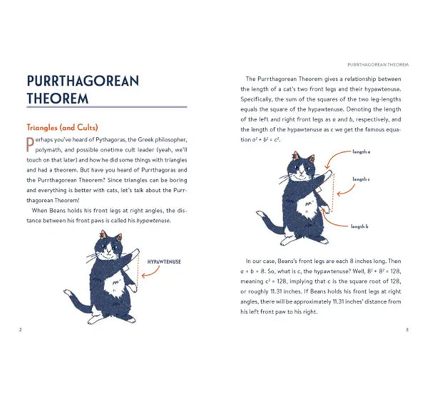 Page from a book or document explaining the Purrthagorean Theorem with cat illustrations.