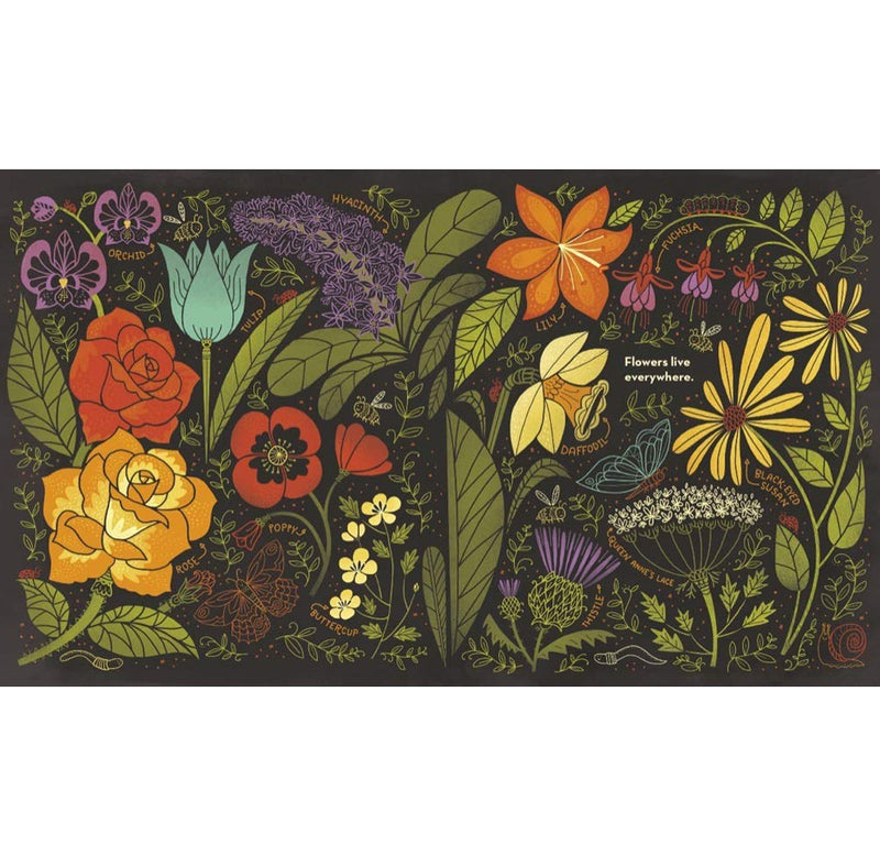 An open page of the book with various flowers and leaves illustrated on a dark background. 