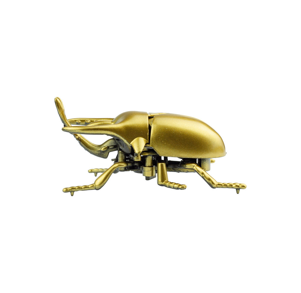 Clockwork Wind-Up Beetle – Exploratorium