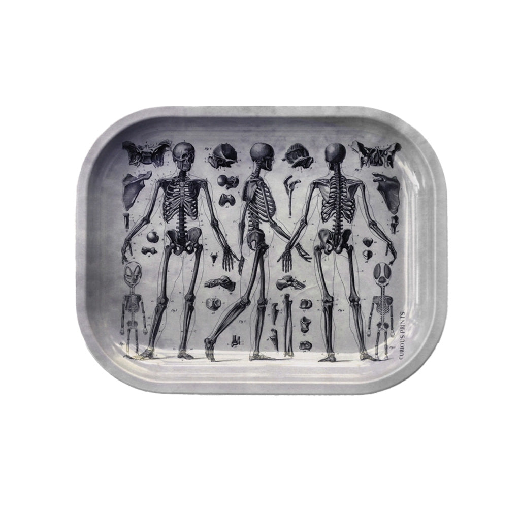 A grey tray with images of a human skeleton. 