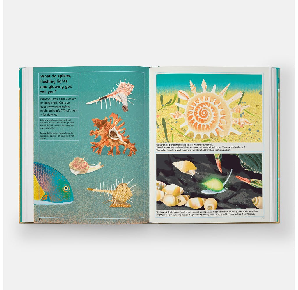 Open page of the book focusing on underwater spiky shells and glowing snail shells. 
