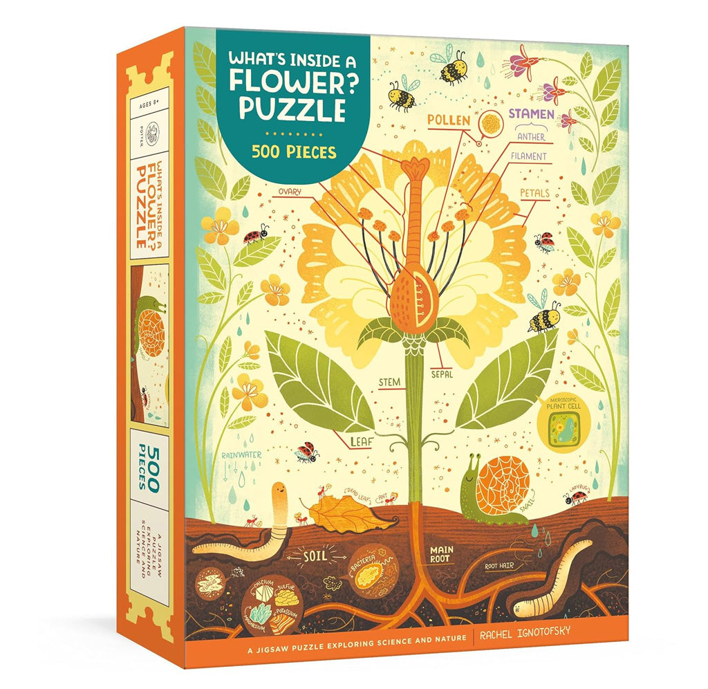 Box depicting an illustrated cross section of a flower growing from the soil. 