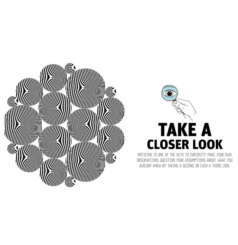 This is a layout image from the book. The right side has a black and white optical illusion. The left side says, " Take a Closer Look."