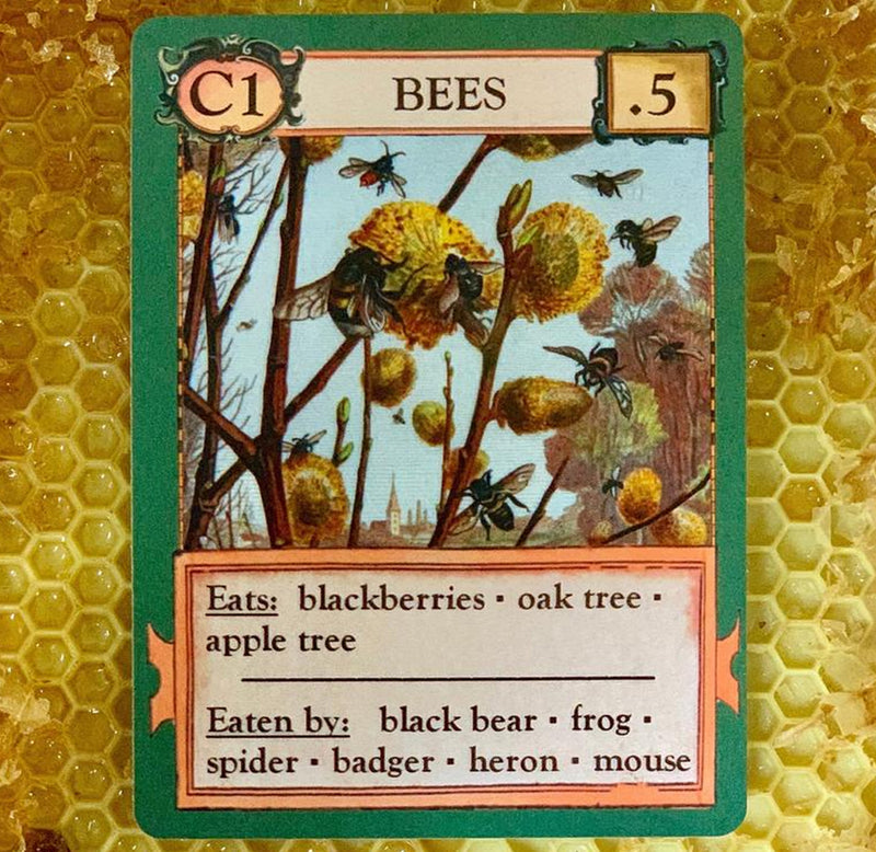 One of the cards from the game depicts bees gathering honey from flowers with stats on what it eats and what eats them.