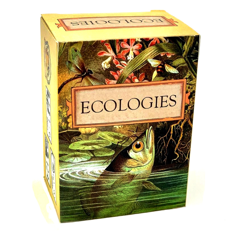 The card game has a victorian art image of a pond science; a fish is sticking out its head trying to grab a dragonfly.