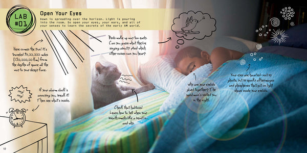 A young boy is lying in bed; the morning sun is coming through his window while a cat spies him through the window; Lab experiment is about using all of your senses and early morning science.