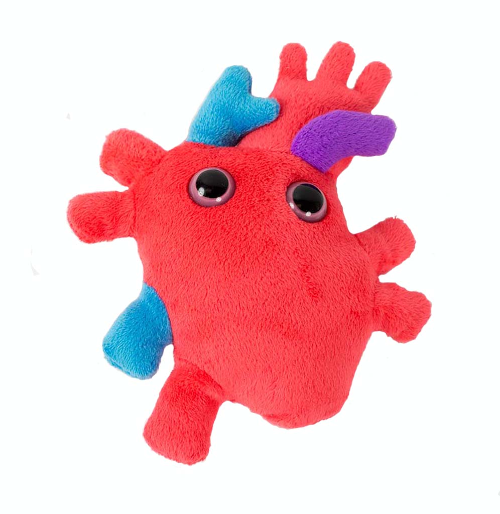 A red, blue, and purple plush heart organ.