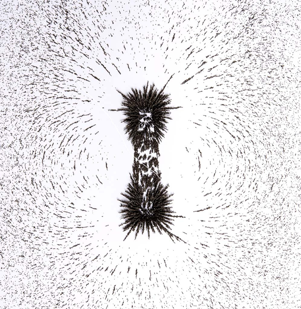 There are magnetic filings on top of and surrounding a magnet and moving out onto the white background.