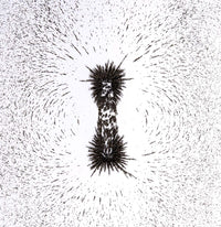 There are magnetic filings on top of and surrounding a magnet and moving out onto the white background.