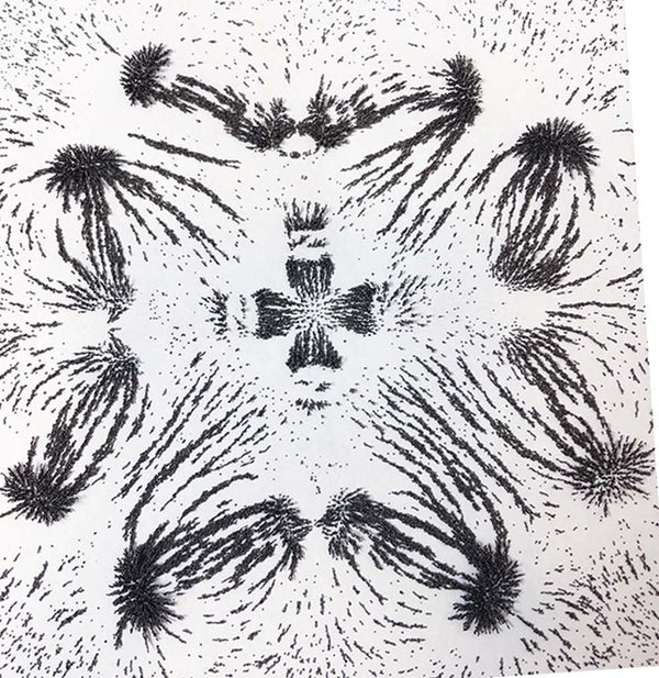 Repeating pattern made with the magnets and iron filings as they clump around the magnet's poles where the magnetic fields are strongest.