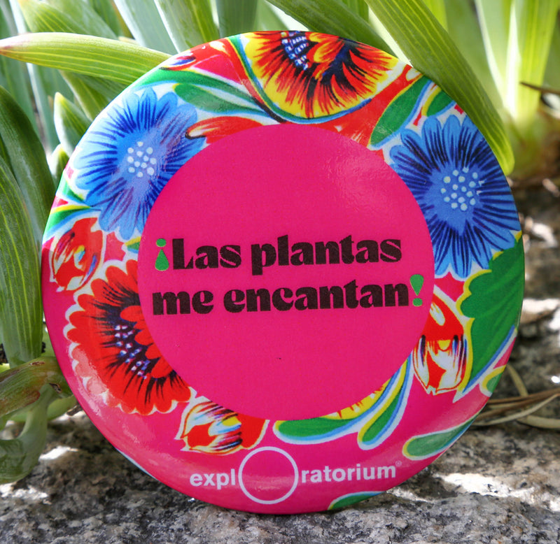 A 3" magnet with a pink background, Las plantas me encantan in black—a floral design around the rim and an exploratorium in white along the bottom.