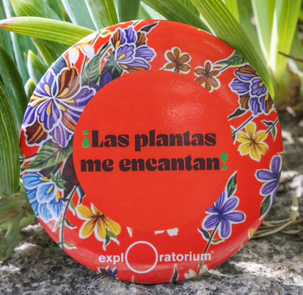A 3" magnet with an orange background, Las plantas me encantan in black—a floral design around the rim and an exploratorium in white along the bottom.