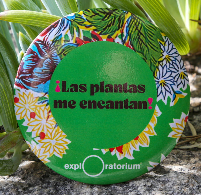 A 3" magnet with a green background, Las plantas me encantan in black—a floral design around the rim and an exploratorium in white along the bottom.
