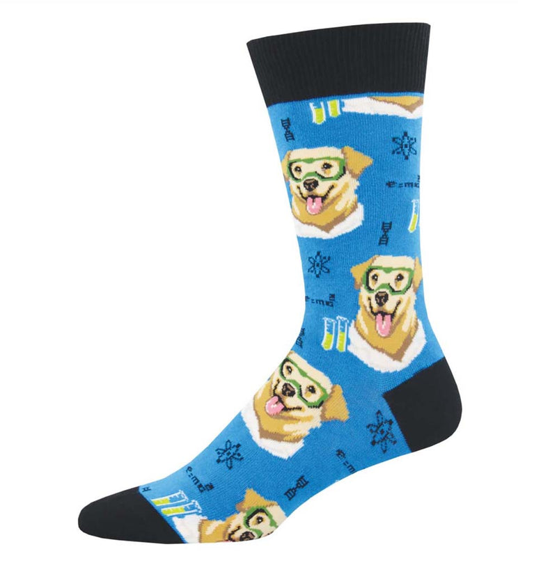 The background of the sock is blue, there is a yellow lab in a laboratory coat, and laboratory equipment sits in duplicates on the sock; the cuff, toe, and heel are black. 