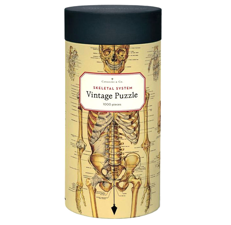  A tall cylindrical box with a full-length skeletal system and human anatomy wrapped around the cover with label descriptions stage identifying the parts. Vintage images and feel to the artwork.