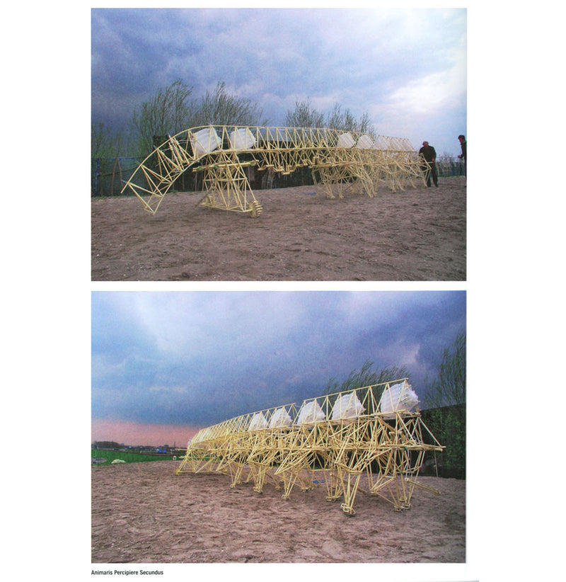 Two color photographic images of Theo Jansen with his large Stranbeests on the beach. The large moving sculptured animals are made of yellow plastic tubing with small white flags at the top to catch the wind.