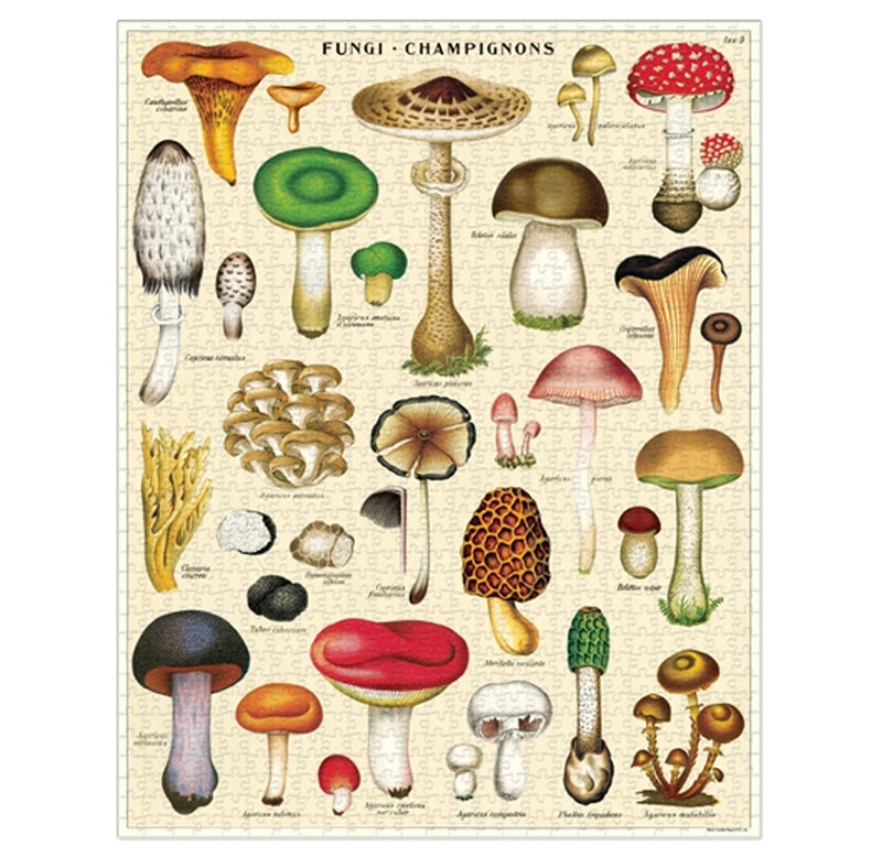 The 22" x 28" completed puzzle is beige with twenty-one different mushroom species represented.