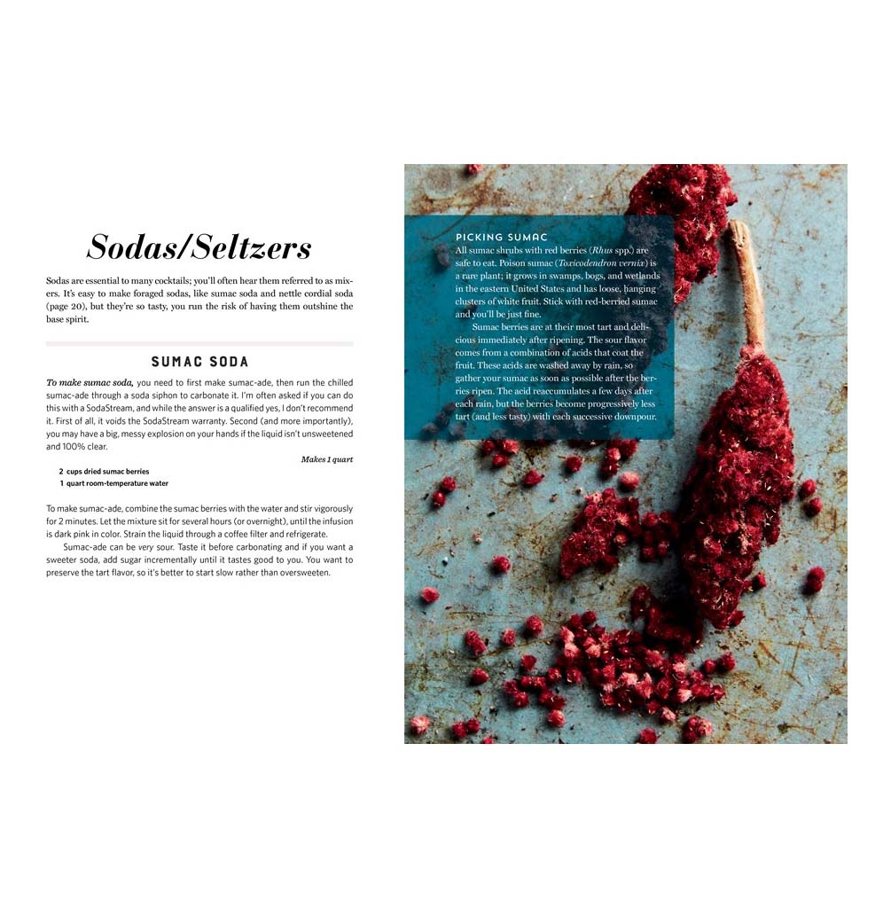 Layout from the book depicts picking sumac, a red berry is sitting in a wooden spoon on a grey table with berries around. Text is on the left page.