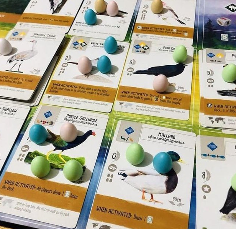 Eleven gameplay cards with different birds sit in three rows with eggshell blue, green, and white eggs in ones, twos, and threes sit amongst the cards.